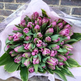 Large hand tied bouquet of tulips.