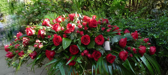 Red roses for everlasting love.