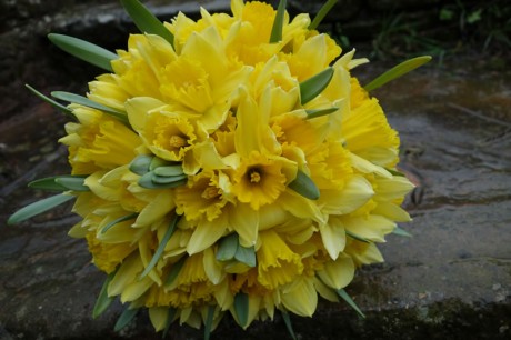 Simple, spring wedding bouquet of bright yellow daffodils
