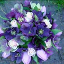 Black hellebores and tulips