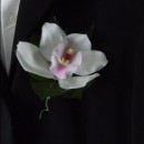 White cymbidium orchid buttonhole with a curly tail.