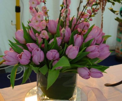 Cube vase of tulips and prunus