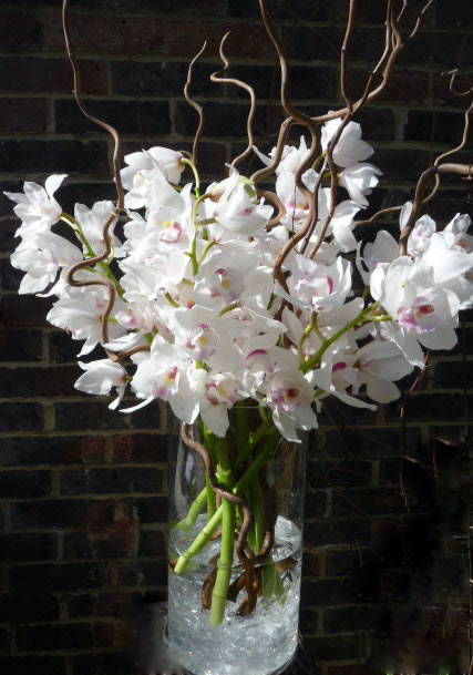 Large vase of white cymbidium orchids and contorted willow