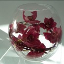 Large gold fish bowl of burgundy cymbidium orchids and willow.
