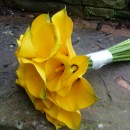Hand tied wedding bouquet of bright yellow calla lilies.