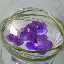 Minimal fish bowl arrangement of floating Vanda blue orchids on crystals