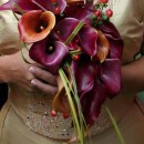 Modern teardrop bouquet of Mango calla lilies & grasses