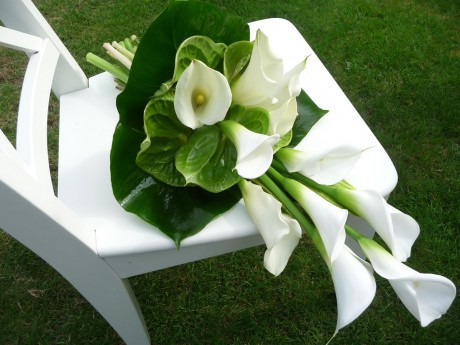 Bridal bouquet of white calla lilies.