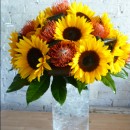 Vase of large headed sunflowers with leucospermum and seasonal foliage.