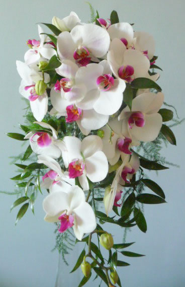 White phalaenopsis orchid shower bouquet