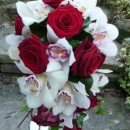 Teardrop bouquet of ‘Grand Prix' roses